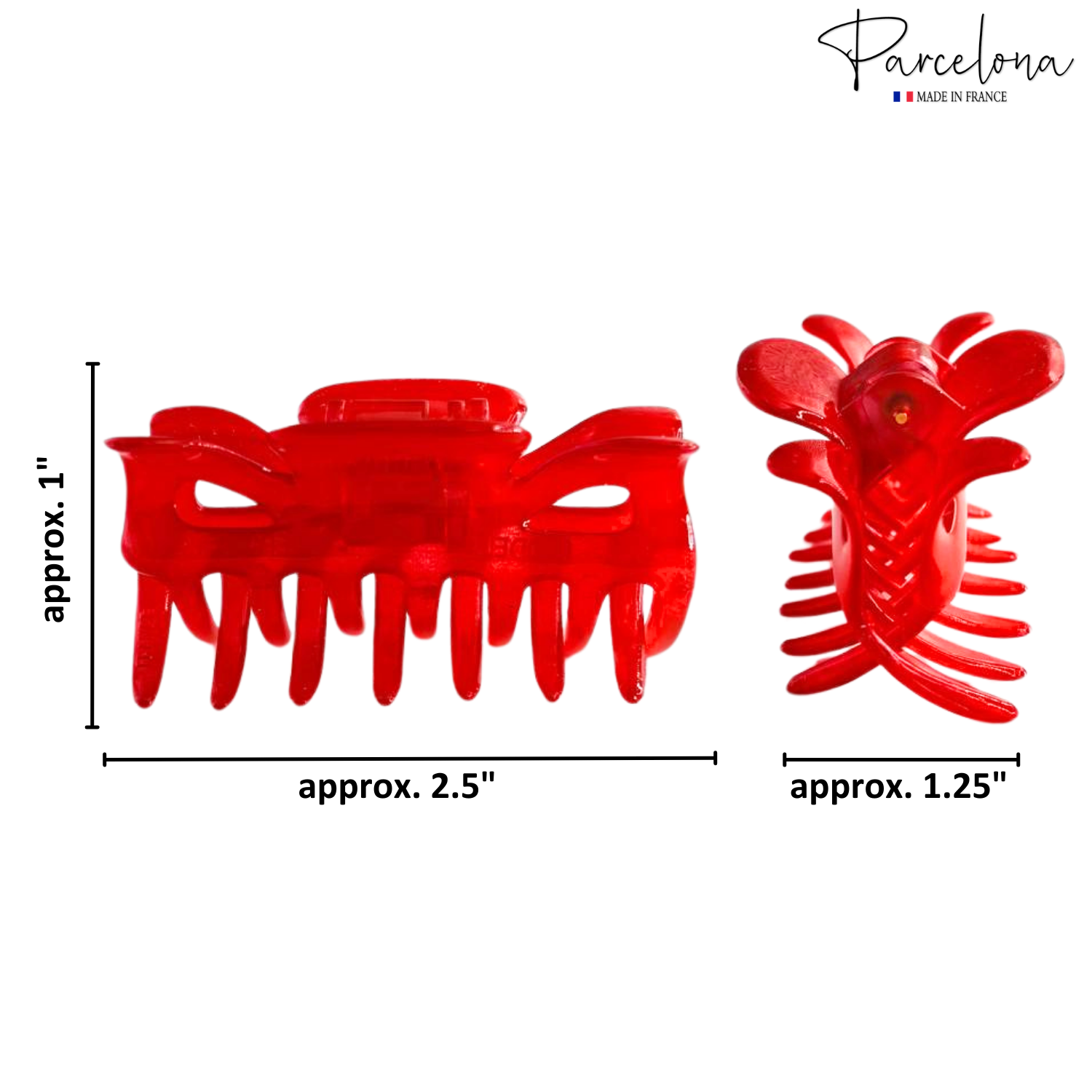 Parcelona French Classic Small 2.5" Celluloid Set of 2 Jaw Hair Claws for Women