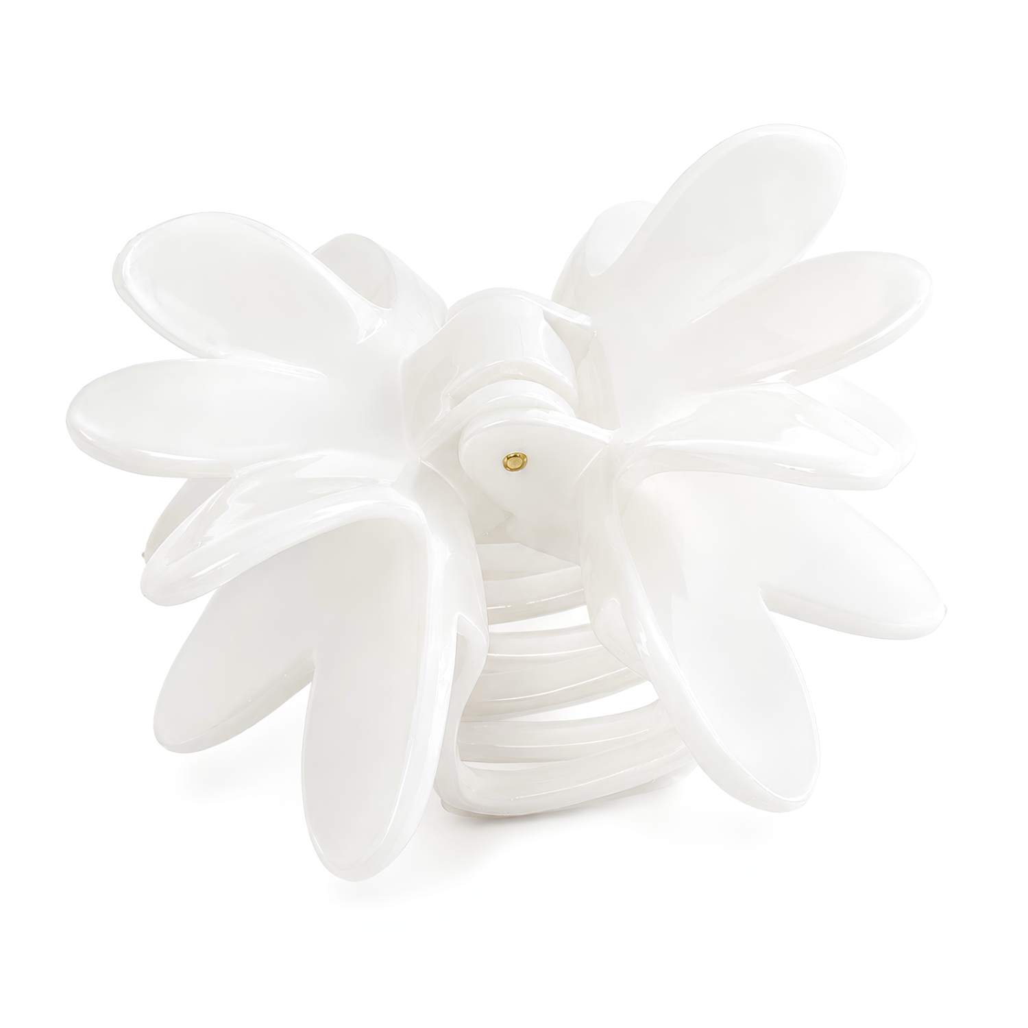 Parcelona French Butterfly 3" Medium Shell Cellulose Jaw Hair Claw for Women