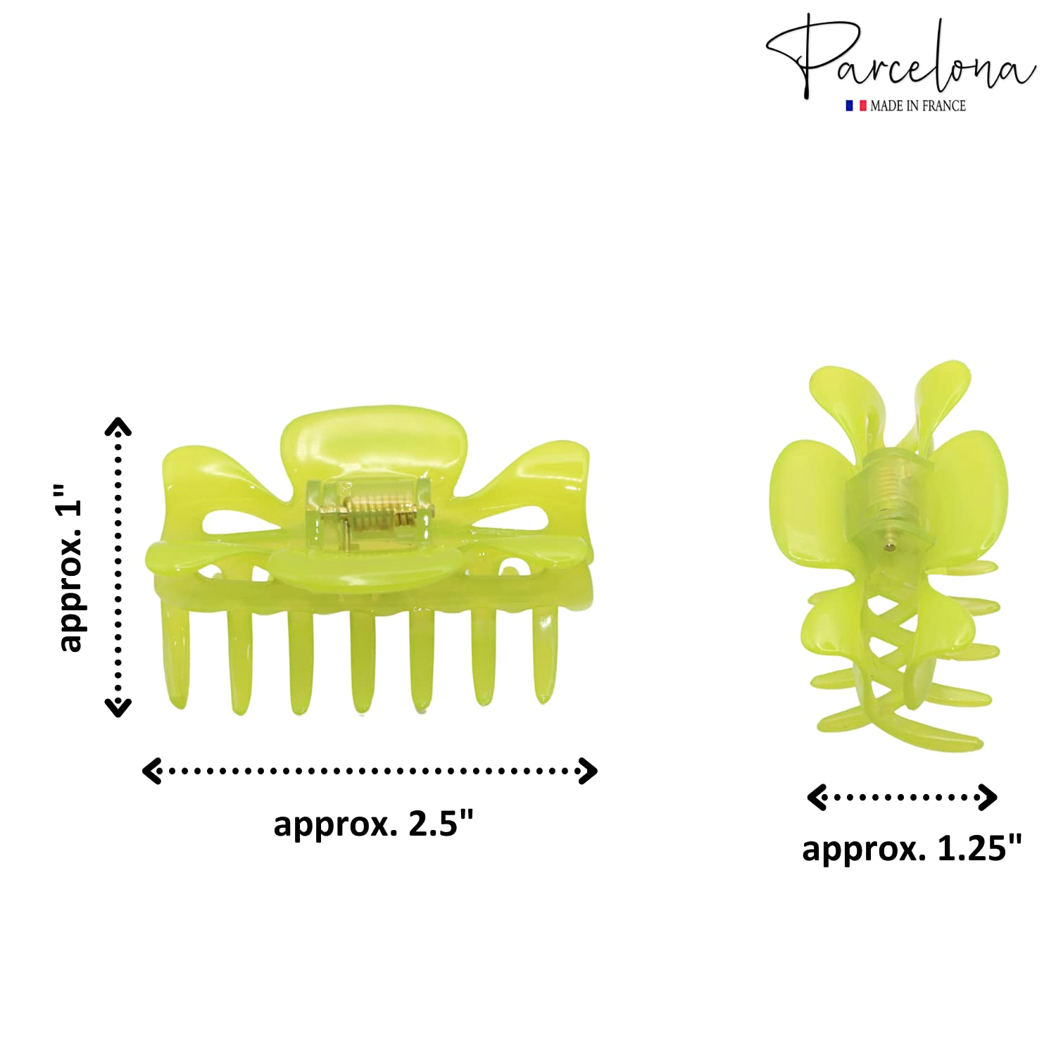 Parcelona French Classic Small 2.5" Celluloid Set of 2 Jaw Hair Claws for Women