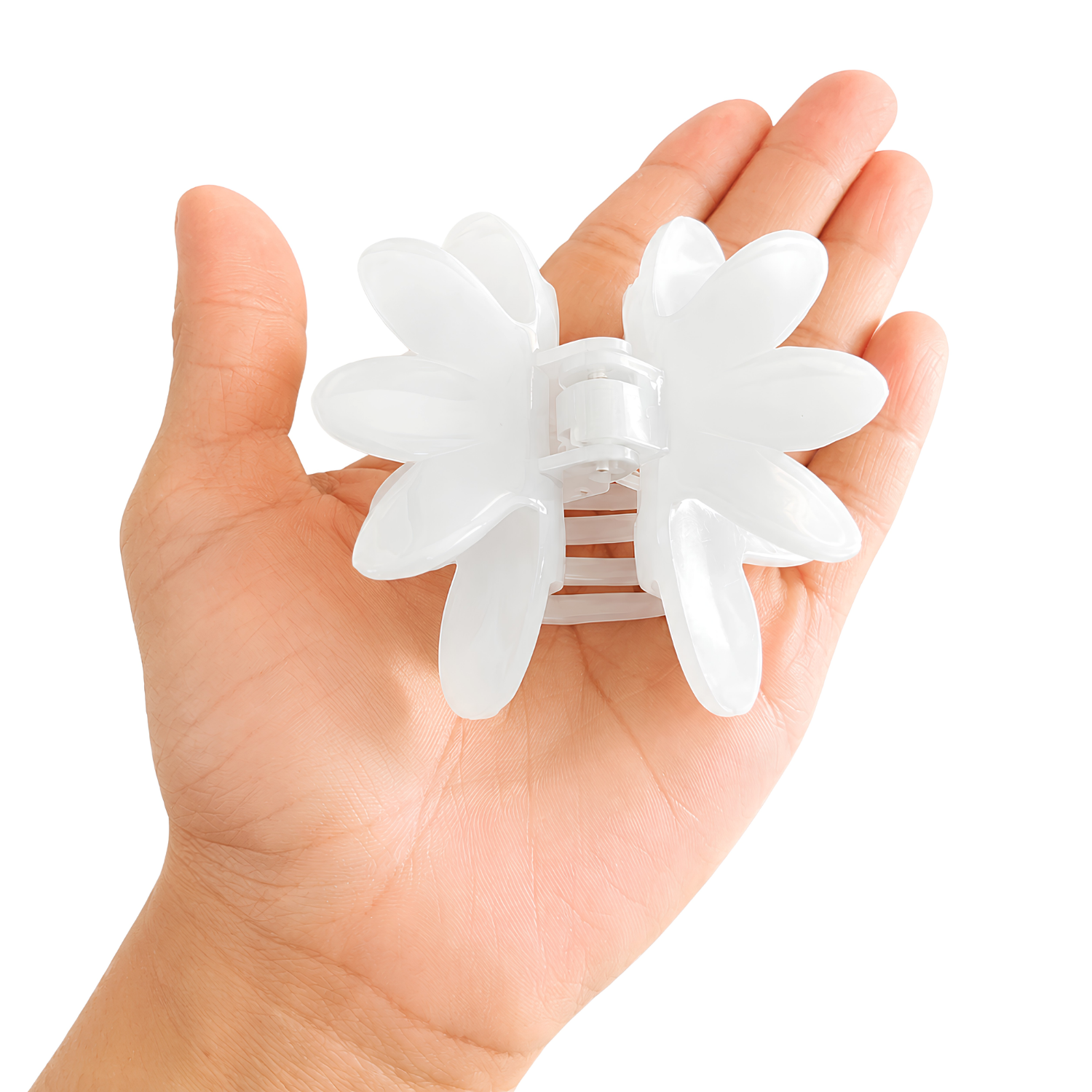 Parcelona French Butterfly 3" Medium Shell Cellulose Jaw Hair Claw for Women