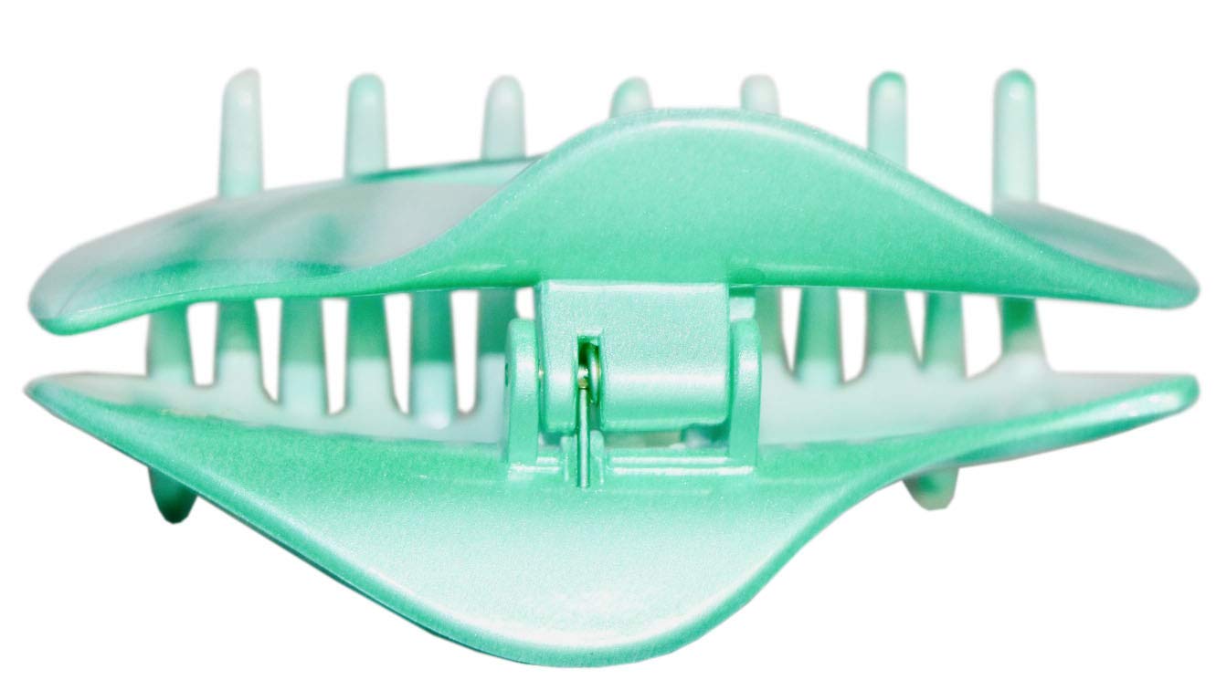 Parcelona French Swift Mint Green and White Medium Hair Claw