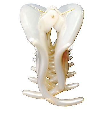 Parcelona France Arch Medium Tortoise Shell And Cream Ivory Jaw Hair Claw-Parcelona-ebuyfashion.com