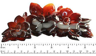 Parcelona French Extra Large Clementine Shell Celluloid Claw Jaw Hair Clip-PARCELONA-ebuyfashion.com