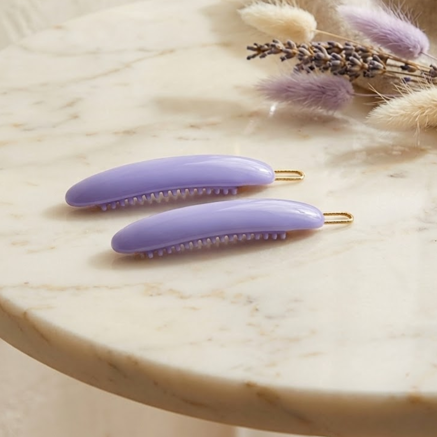 French Amie Oval Hair Barrette Clip Set of 2 Cellulose Acetate Tige Boule Clasp