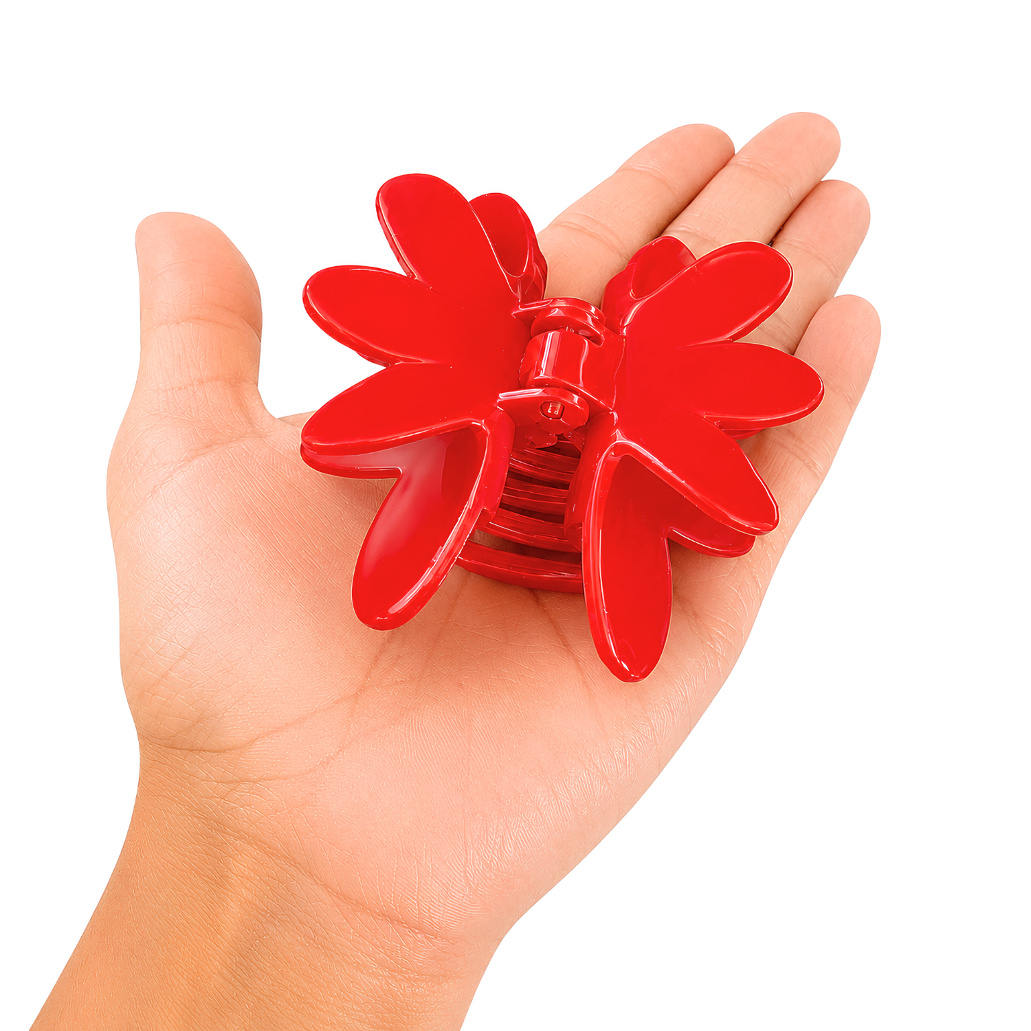 Parcelona French Butterfly 3" Medium Shell Cellulose Jaw Hair Claw for Women