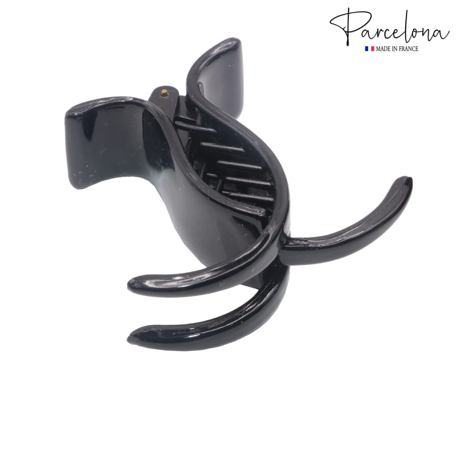 Parcelona French Small 3 Teeth Cellulose Fish Style Hair Claws for Women(2 Pcs)