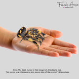 French Amie Paw 2 3/4" Cellulose Handmade Jaw Hair Claw for Women and Girls