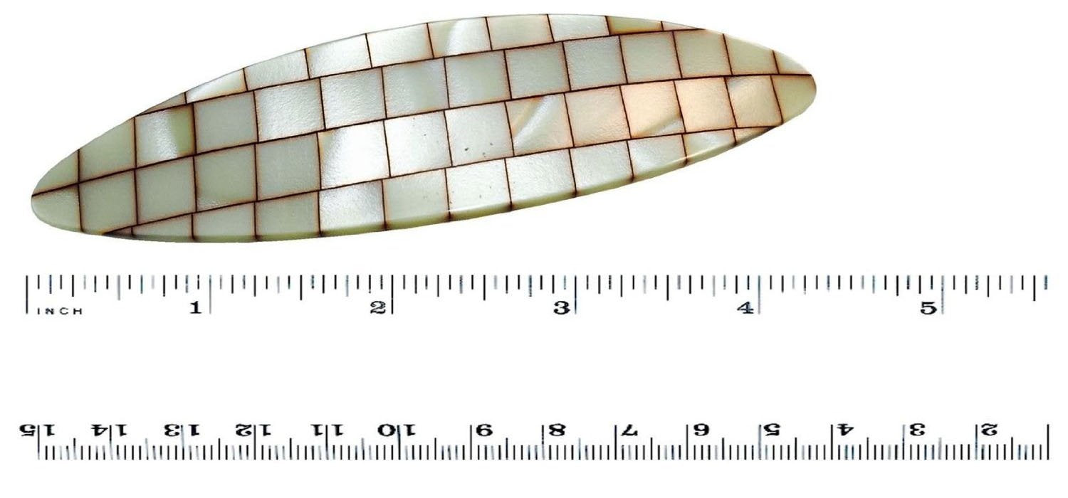 French Amie Large Oval Handmade Cellulose Hair Clip Barrette for Women