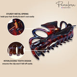 Parcelona French Medium Double Loop Tortoise Shell Claw Jaw Hair Clip 3.5 Inch