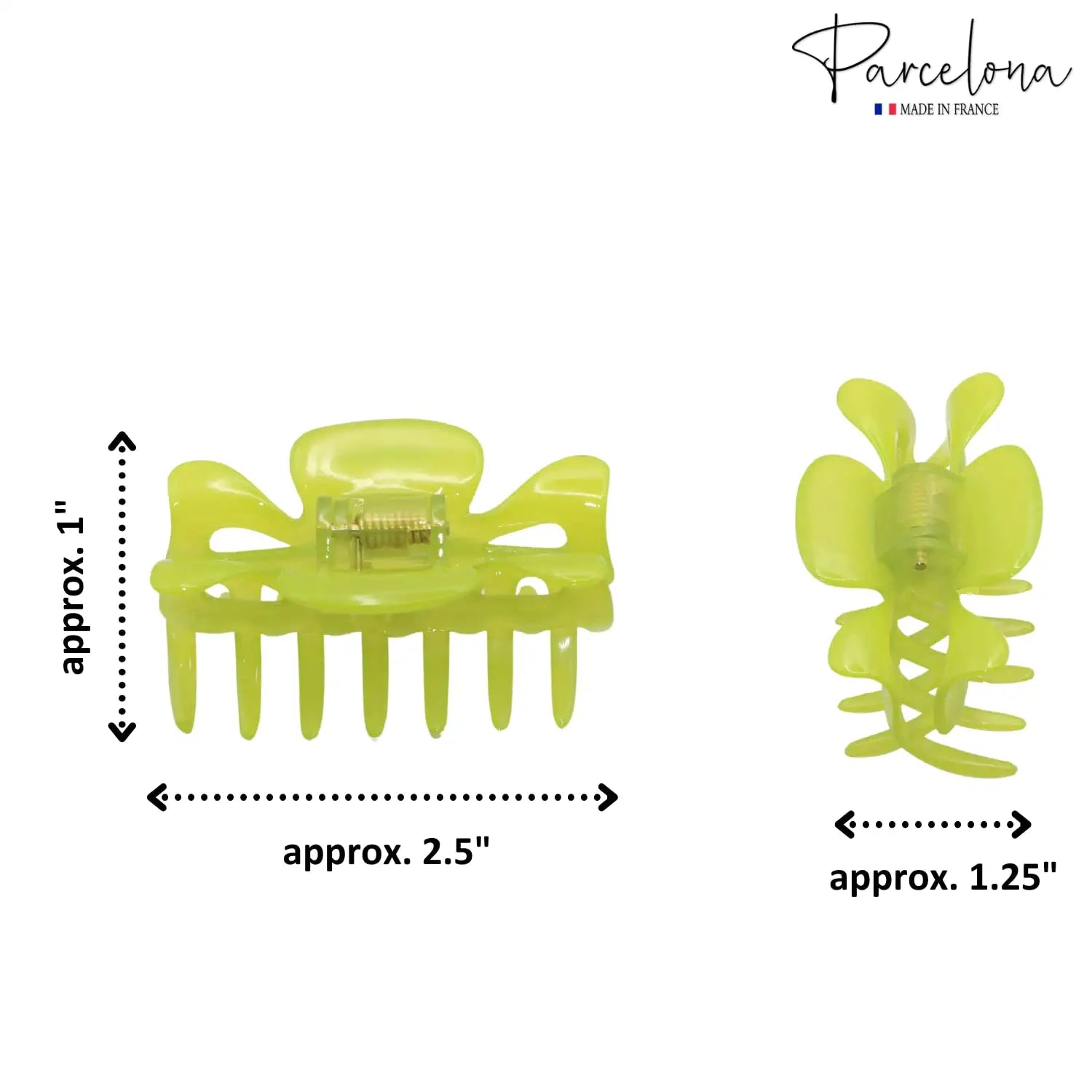 Parcelona French Classic Small 2.5" Celluloid Set of 2 Jaw Hair Claws for Women