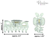 Parcelona French Classic Small 2.5" Celluloid Set of 2 Jaw Hair Claws for Women