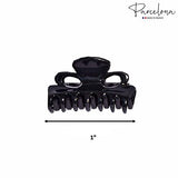 Parcelona French Petite Very Small Set of 4 Hair Claws For Women(Clear-Black)