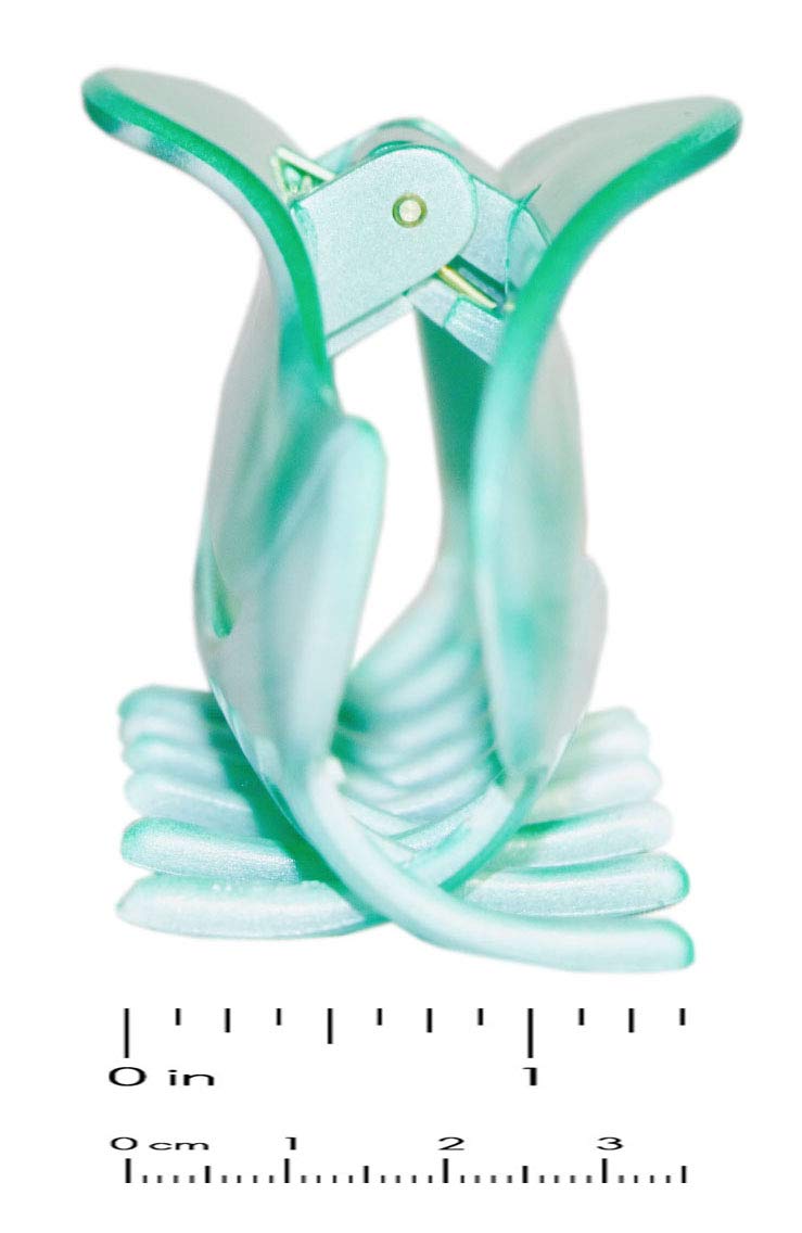 Parcelona French Swift Mint Green and White Medium Hair Claw