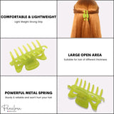Parcelona French Classic Small 2.5" Celluloid Set of 2 Jaw Hair Claws for Women