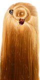 Parcelona French Little Belle With Crystals Shell And Black Mini Hair Claws