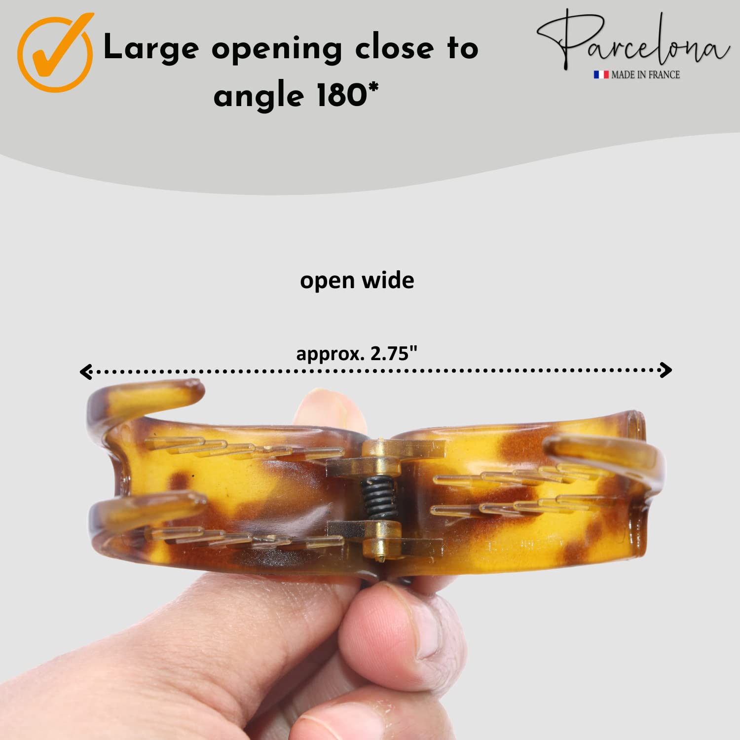 Parcelona French Small 3 Teeth Cellulose Fish Style Hair Claws for Women(2 Pcs)