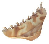 Parcelona France Medium Ivory Beige Narrow Thin Jaw Hair Claw Clip