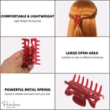 Parcelona French Classic Small 2.5" Celluloid Set of 2 Jaw Hair Claws for Women