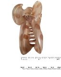 Parcelona France Ovale Beige N Brown Polka Medium Covered Spring Celluloid Jaw H-PARCELONA-ebuyfashion.com