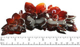 Parcelona French Extra Large Clementine Shell Celluloid Claw Jaw Hair Clip-PARCELONA-ebuyfashion.com